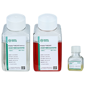 間充質(zhì)干細胞無血清培養(yǎng)試劑盒,無血清培養(yǎng)基,MSC無血清培養(yǎng)