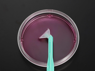 可自由旋轉刀片，能刮取各個角落，收獲細胞