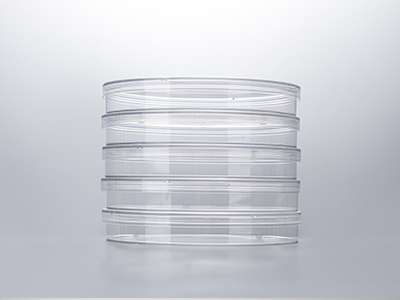 培養(yǎng)皿蓋外邊緣凸起，保證疊放穩(wěn)定；