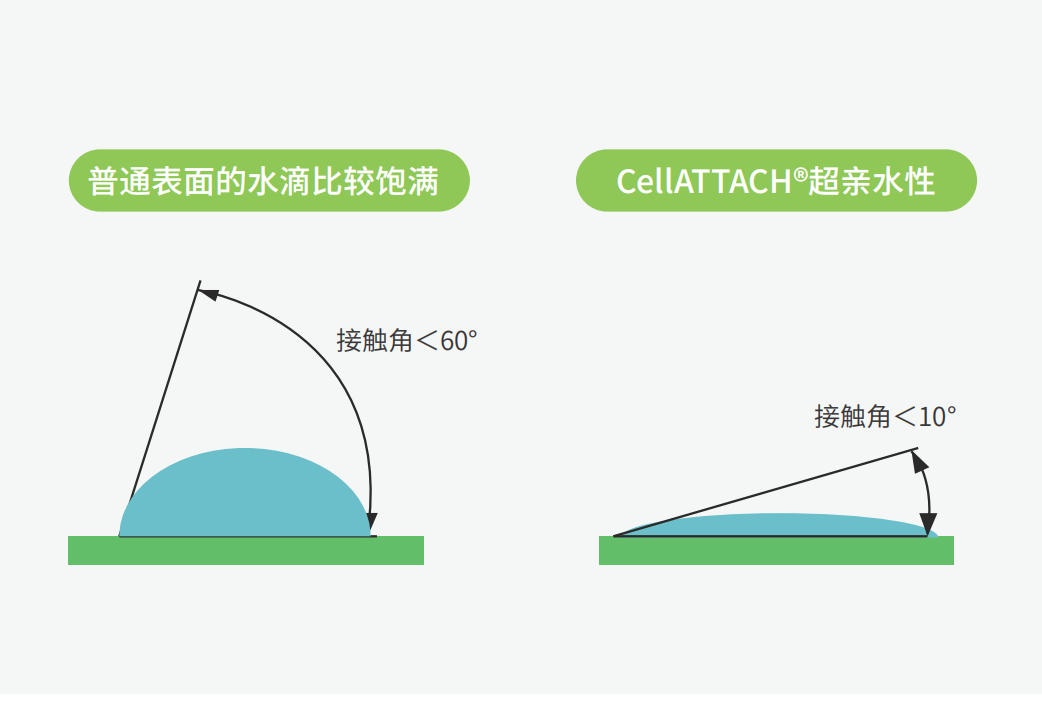 獨(dú)特的超親水表面處理技術(shù)，能為細(xì)胞提供更好的吸附性，促進(jìn)細(xì)胞快速貼壁生長(zhǎng)，提高產(chǎn)量