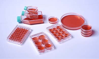 細胞培養(yǎng)板/瓶/皿常見問題